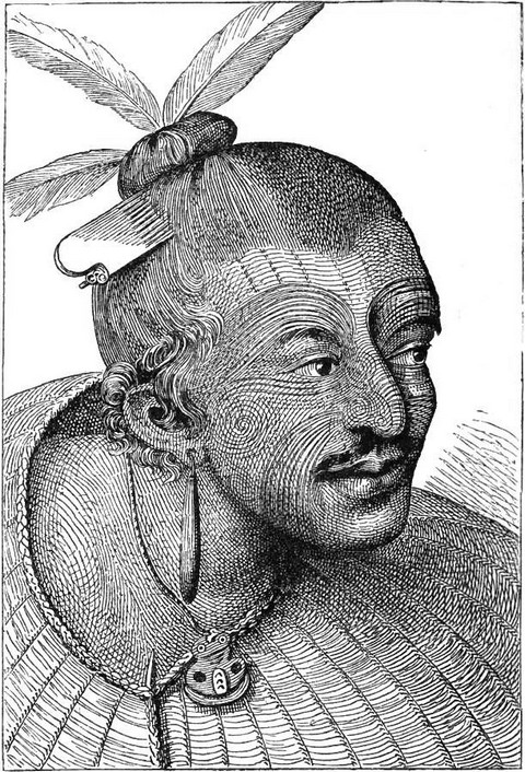 Tatooed head of a New Zealander